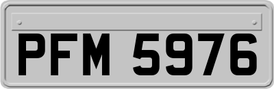 PFM5976