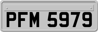 PFM5979