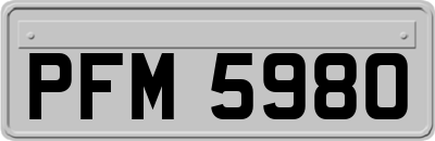 PFM5980