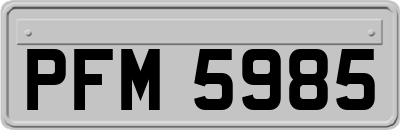 PFM5985