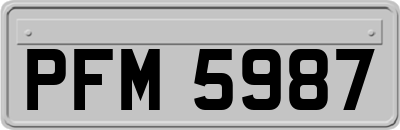 PFM5987