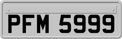 PFM5999