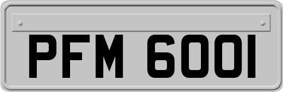 PFM6001
