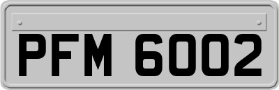 PFM6002