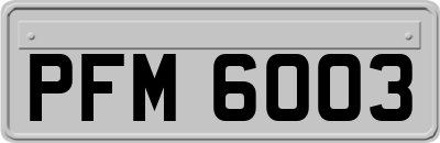 PFM6003