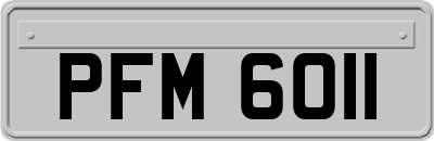 PFM6011