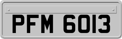 PFM6013