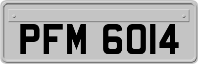 PFM6014