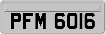 PFM6016