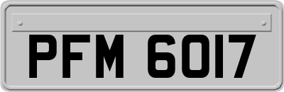 PFM6017