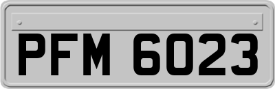 PFM6023