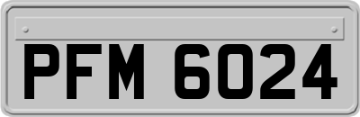 PFM6024