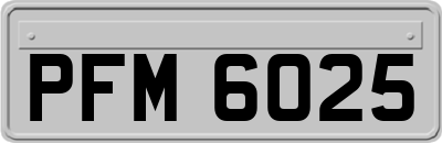 PFM6025