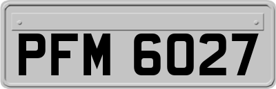 PFM6027