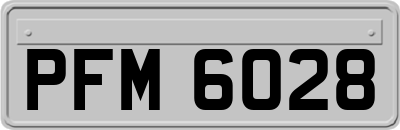 PFM6028