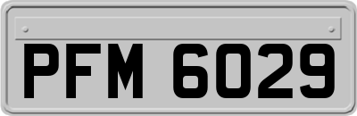 PFM6029