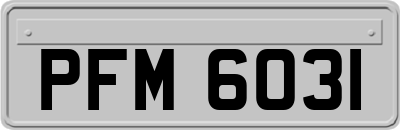 PFM6031