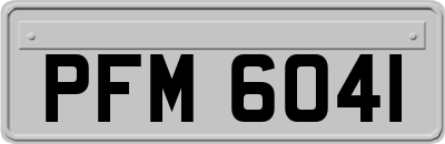 PFM6041