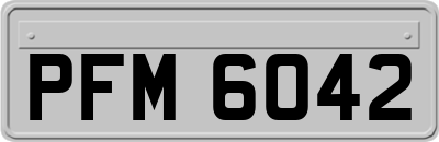PFM6042