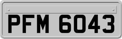 PFM6043