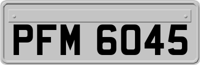 PFM6045