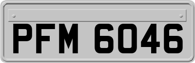 PFM6046