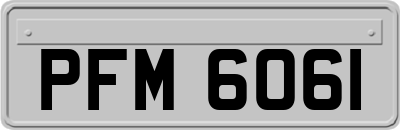 PFM6061