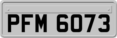 PFM6073