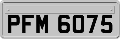 PFM6075