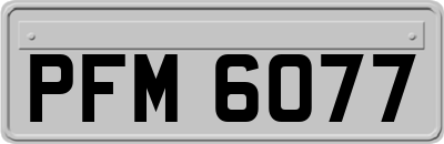 PFM6077