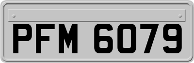 PFM6079