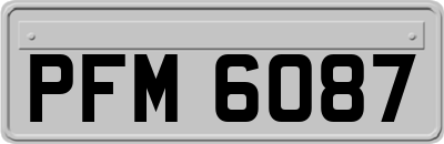 PFM6087