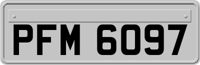 PFM6097