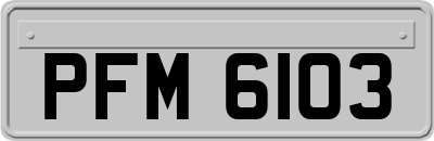 PFM6103