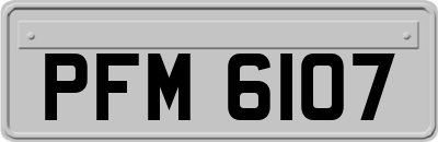 PFM6107