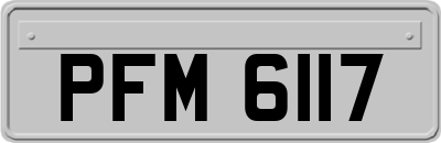 PFM6117