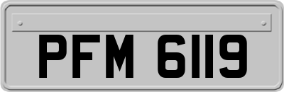 PFM6119