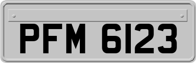 PFM6123