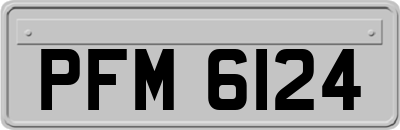 PFM6124