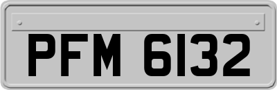 PFM6132