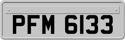 PFM6133