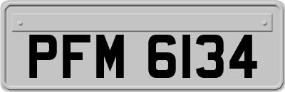 PFM6134