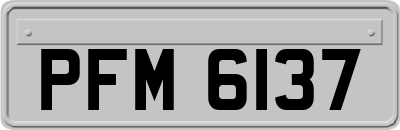 PFM6137