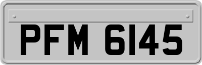 PFM6145