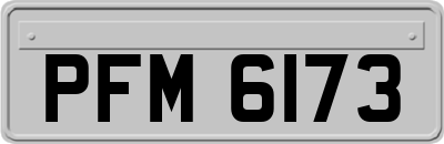 PFM6173