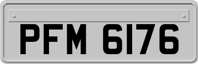 PFM6176