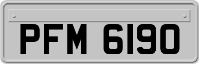 PFM6190