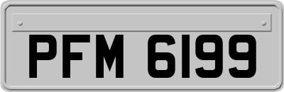 PFM6199
