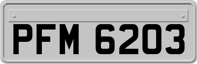 PFM6203