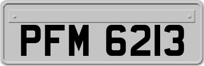 PFM6213